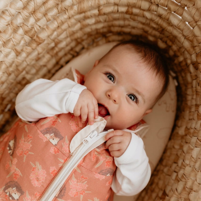 Śpiworek NewBorn Vintage Animals Amaranth - Sleepee Marka Sleepee