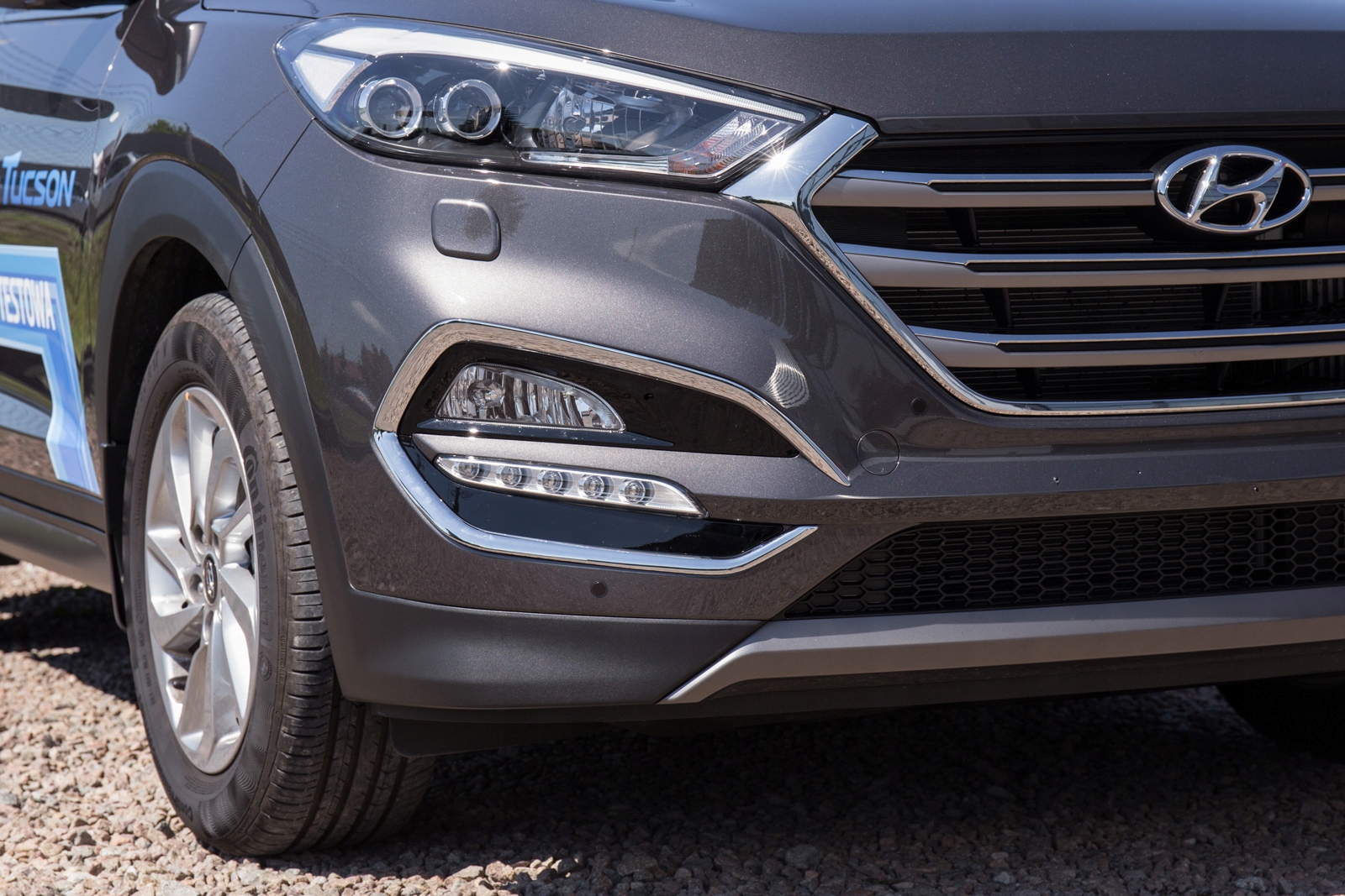 B7229ed74ffcb6a2b14eca549c69