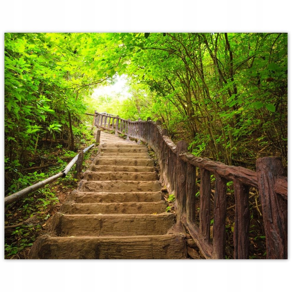 

Plakat 50x40 Schody do lasu