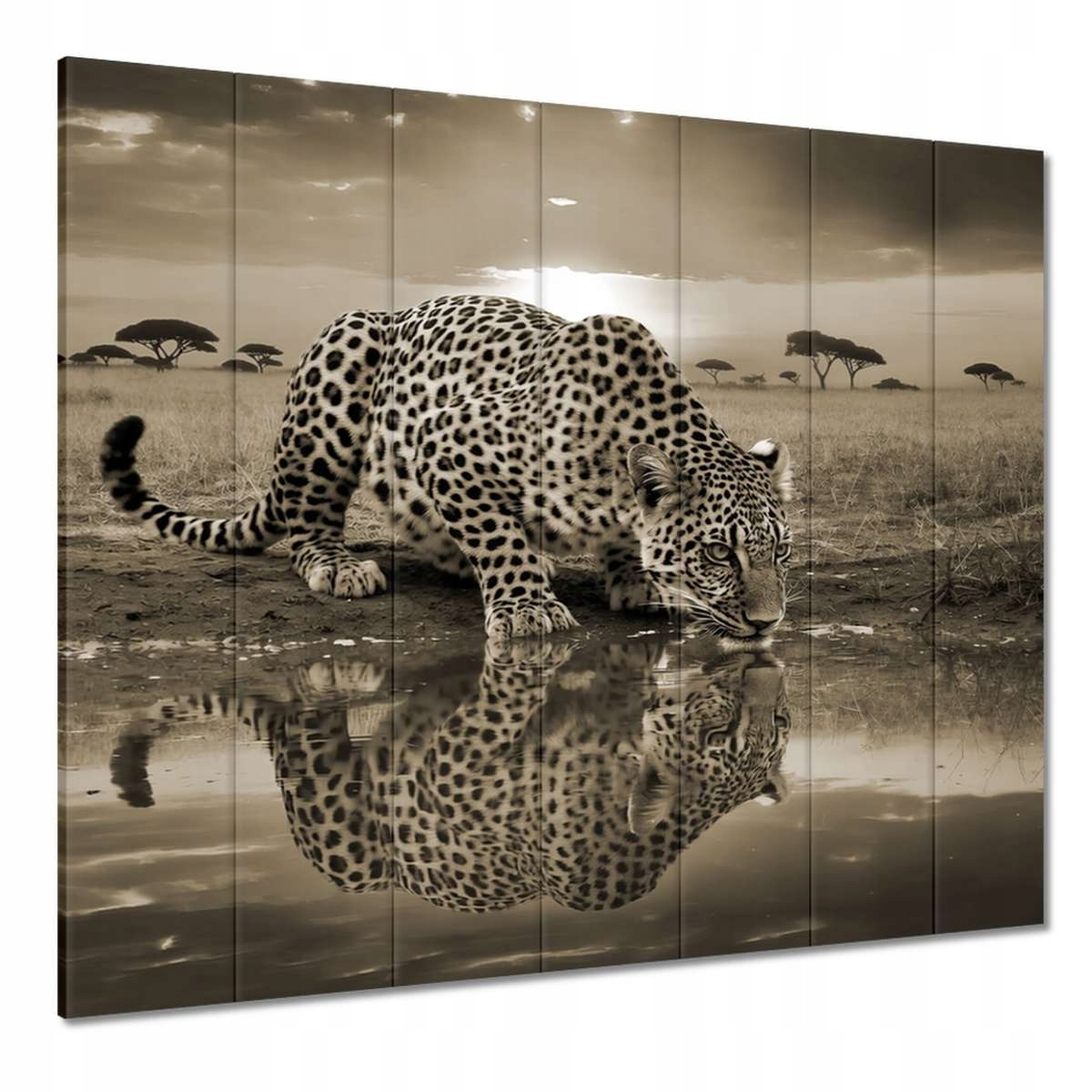 Obrazy 210x195 Gepard Tygrys Zwierzęta Salon