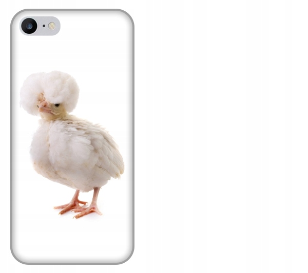 

Etui pokrowiec iPhone 7 Kura padewska smieszne zwi