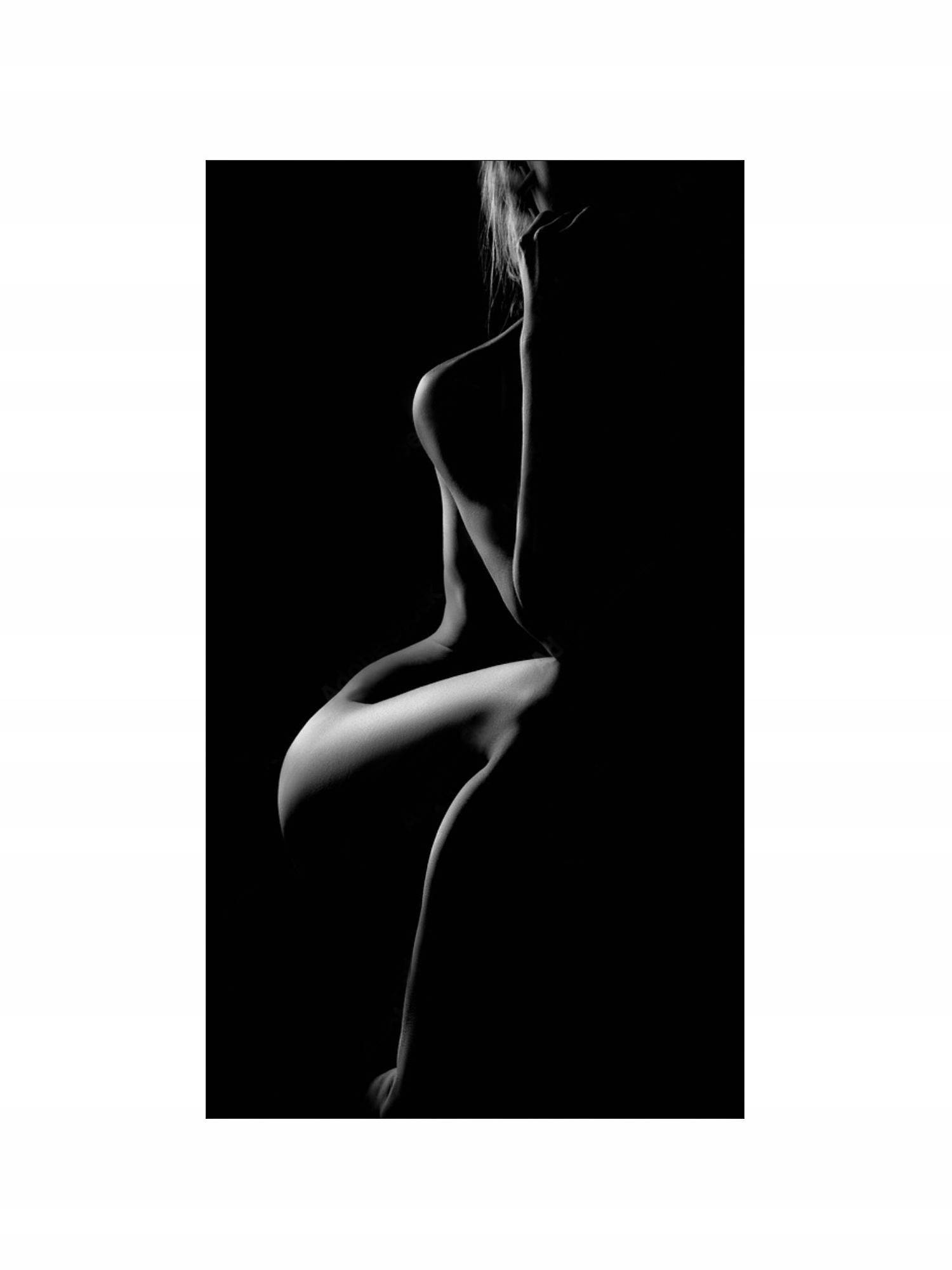 Dekorativní Vertikální Ozdobný Radiátor S Obrazem 970/545 ART38