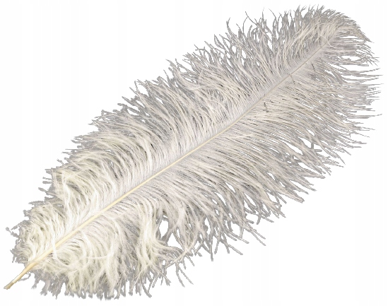 Pštrosí peří, délka 60 cm