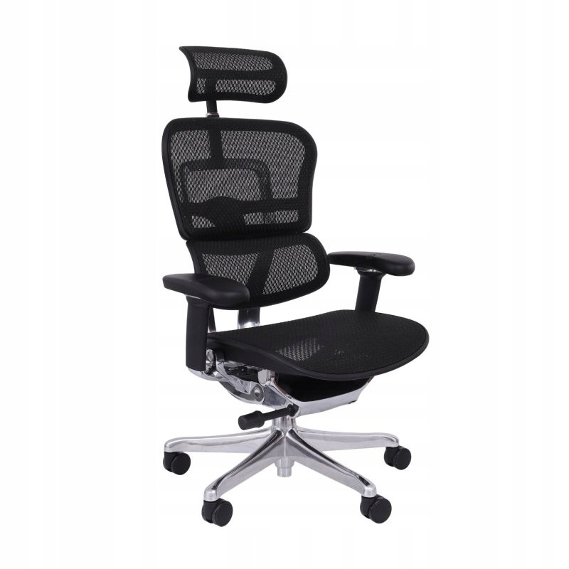 Fotel biurowy Ergohuman 2 Elite Bs St Siatka Czarny/Chrom