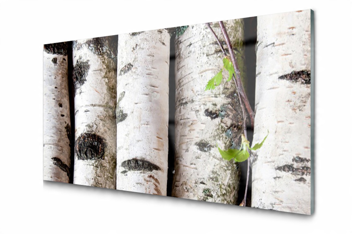 

Panel szklany dekoracyjny Drzewa Brzoza 100x50