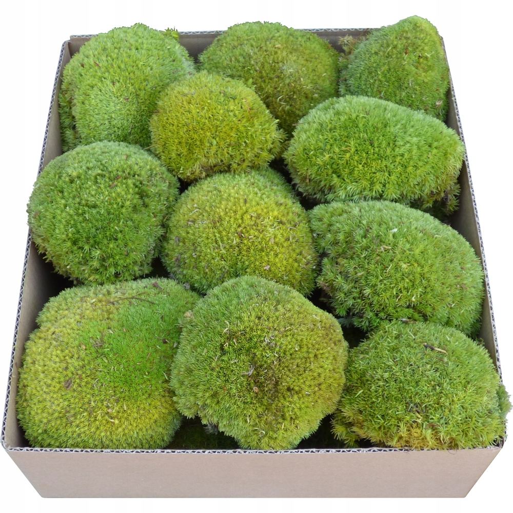 Mech Poduszkowy PREMIUM Jasna Zieleń Karton 0,06m2