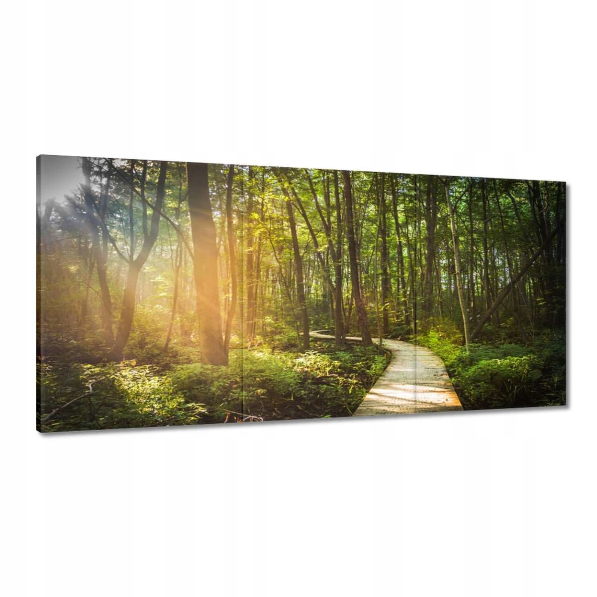 Obrazy 180x90 Slniečko na prechádzke