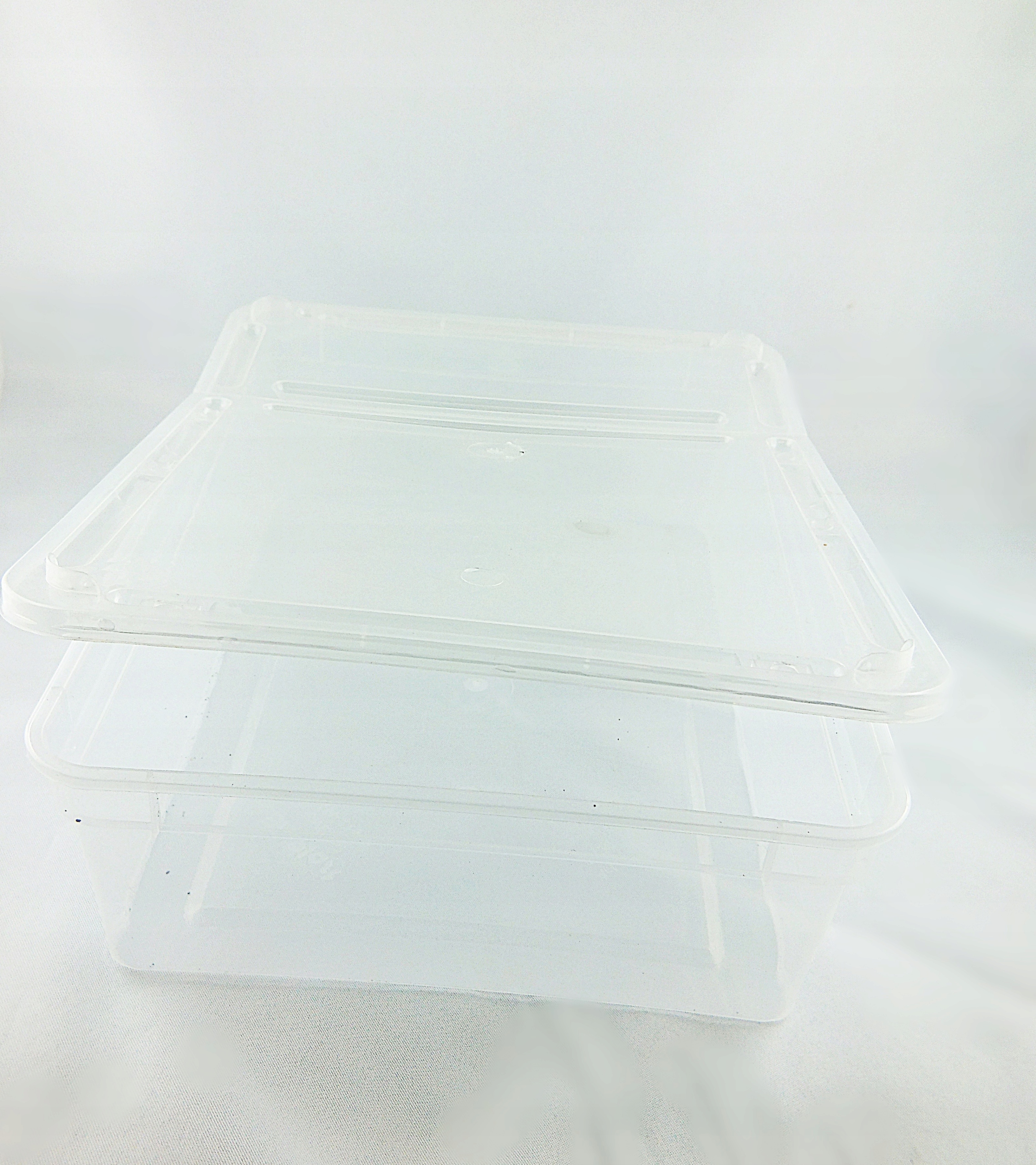 

Pojemniki typu braplast 23x19x7.5cm(SpidersForge)