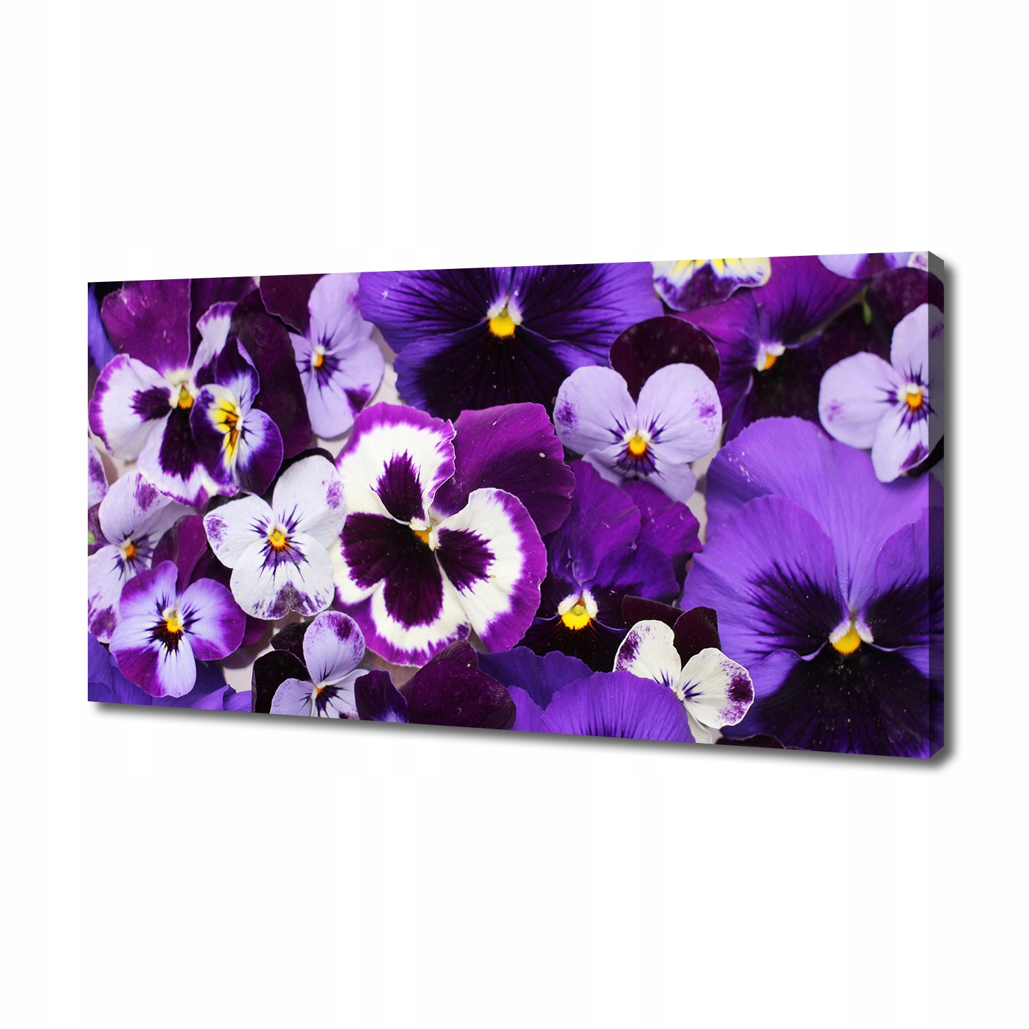 

Foto obraz duży canvas na ścianę Bratki 140x70 cm
