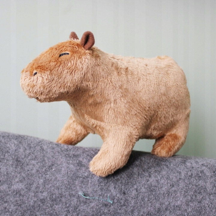 PLUSZAK KAPIBARA CAPYBARA PRZYTULANKA PLUSZOWA MASKOTKA DLA DZIECI 30cm Wysokość produktu 25 cm
