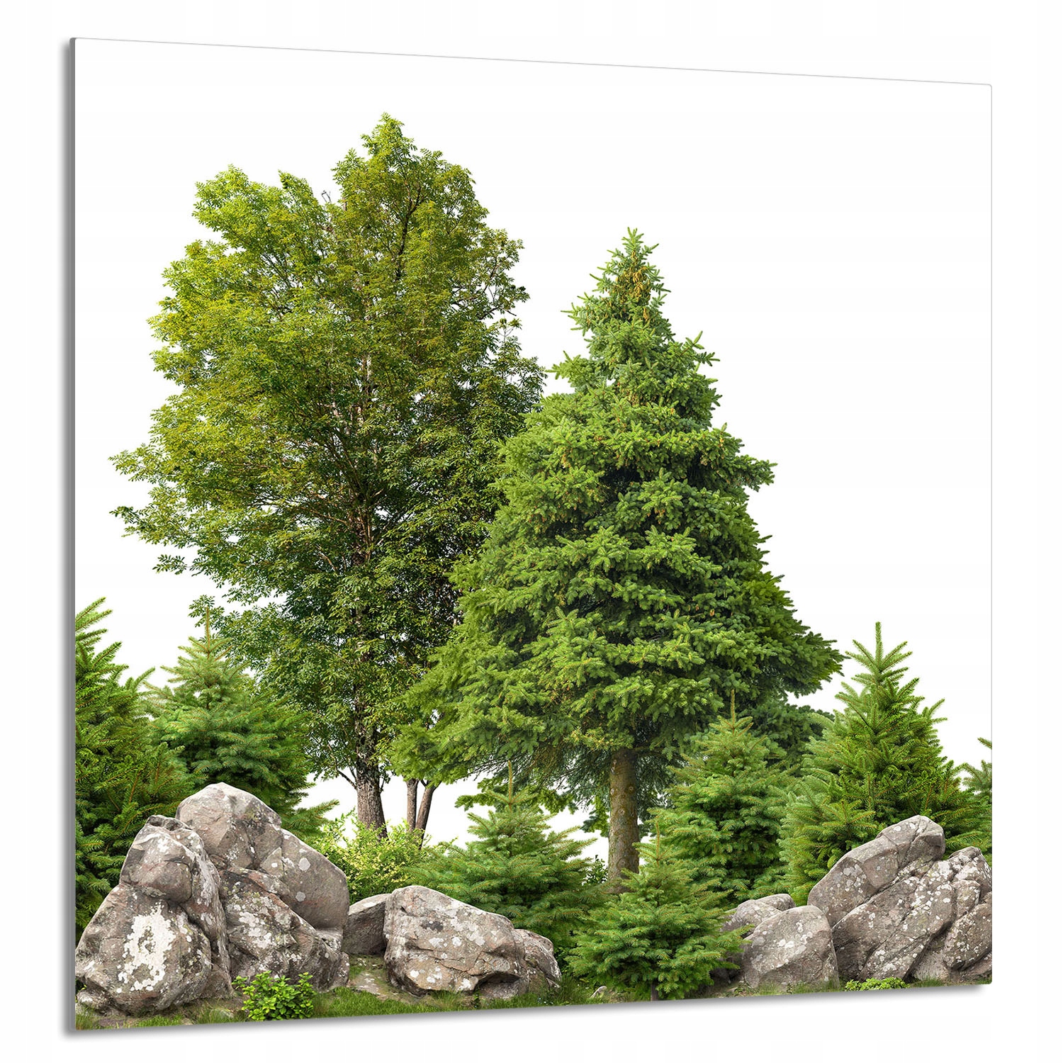 Skleněný Panel Do Kuchyně 60x65 Stromy Tvrzené Sklo