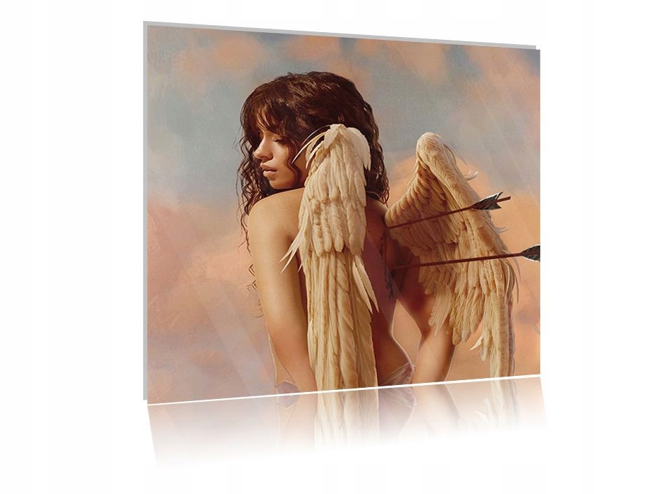 

Obraz szklany na szkle Camila Cabello 03 50x50