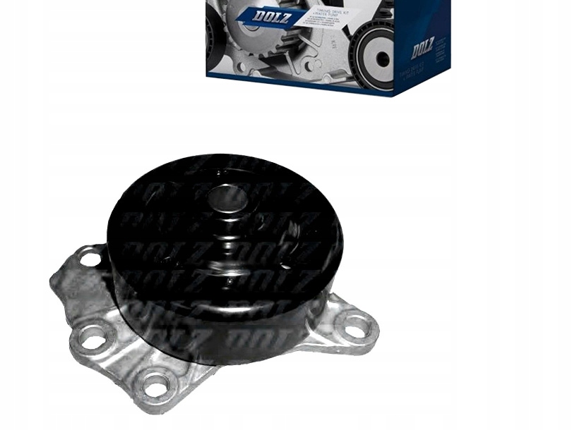 Dolz Vodní Čerpadlo Citroen Dolz