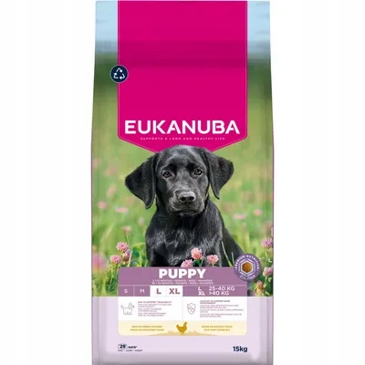 Eukanuba Premium Nutrition Puppy Large & Giant Breed, kuřecí, 15 kg