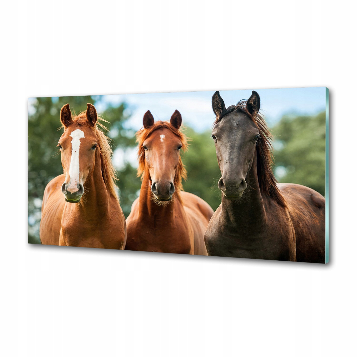 Dekoračný panel zo skla Tri kone 100 x 50 cm Lepidlo