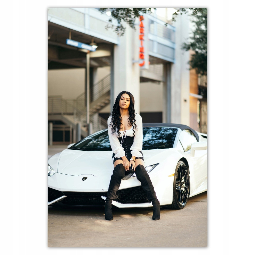 

Plakaty 62x93 Laska i białe auto Fura