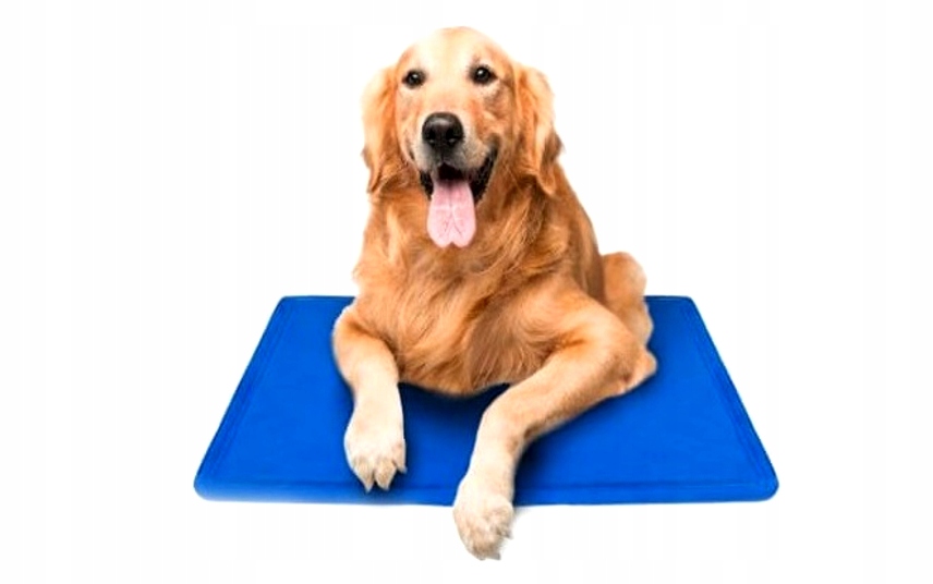 

Żelowa Mata Chłodząca dla psa 104x52cm Duża XL