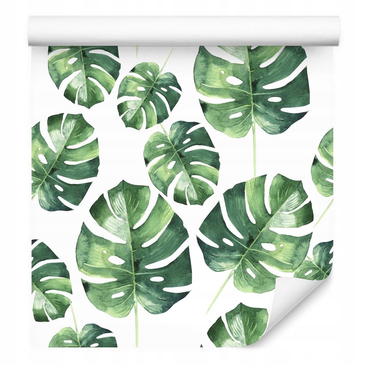 Tapeta do obývacího pokoje listy Monstery akvarel příroda