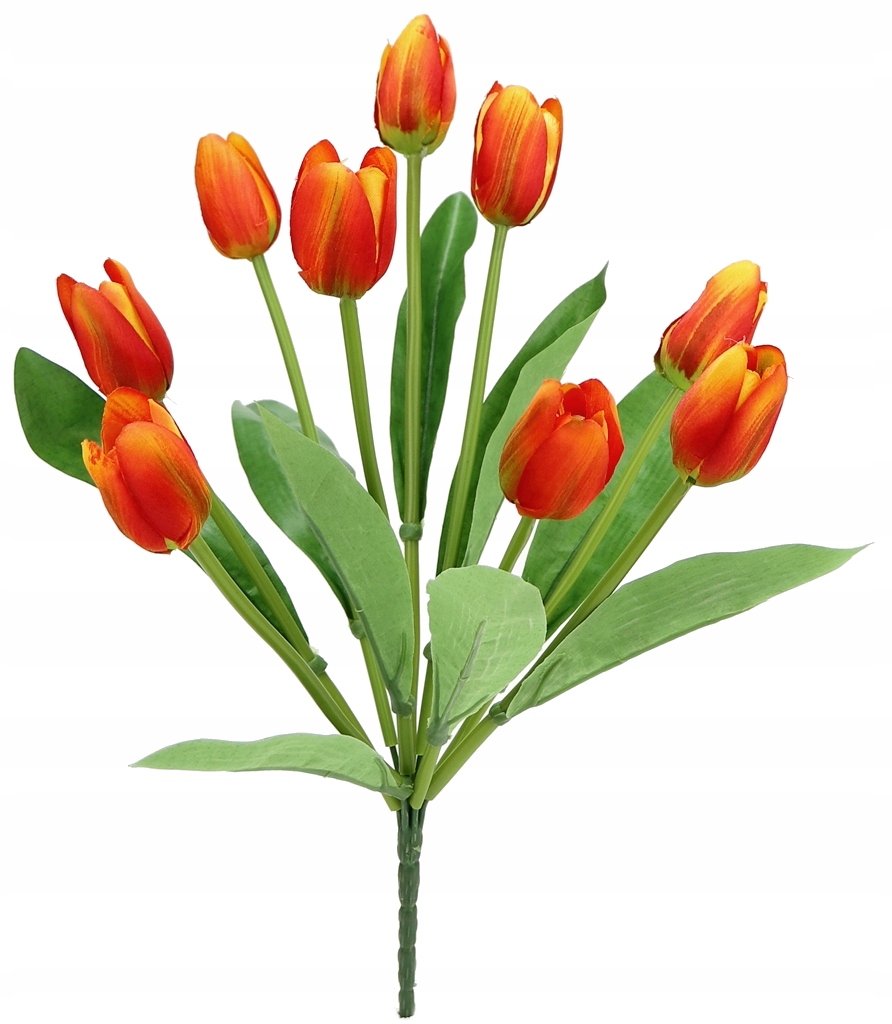 

Bukiet Tulipan 9x pąków Otwarte Pomarańcz 40cm