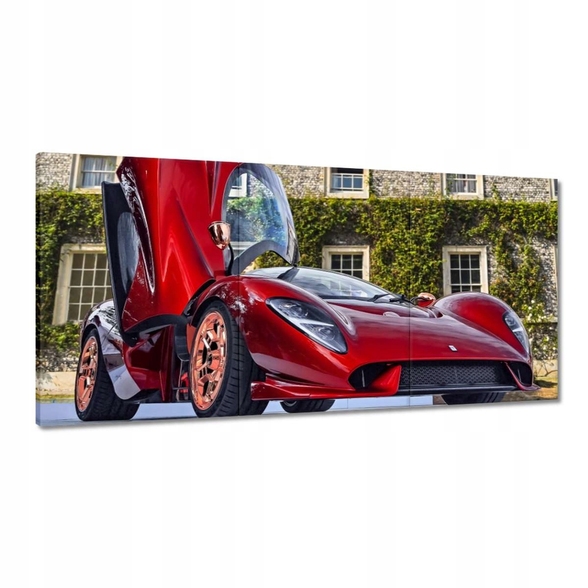 Obrazy 180x90 Detomaso Auto