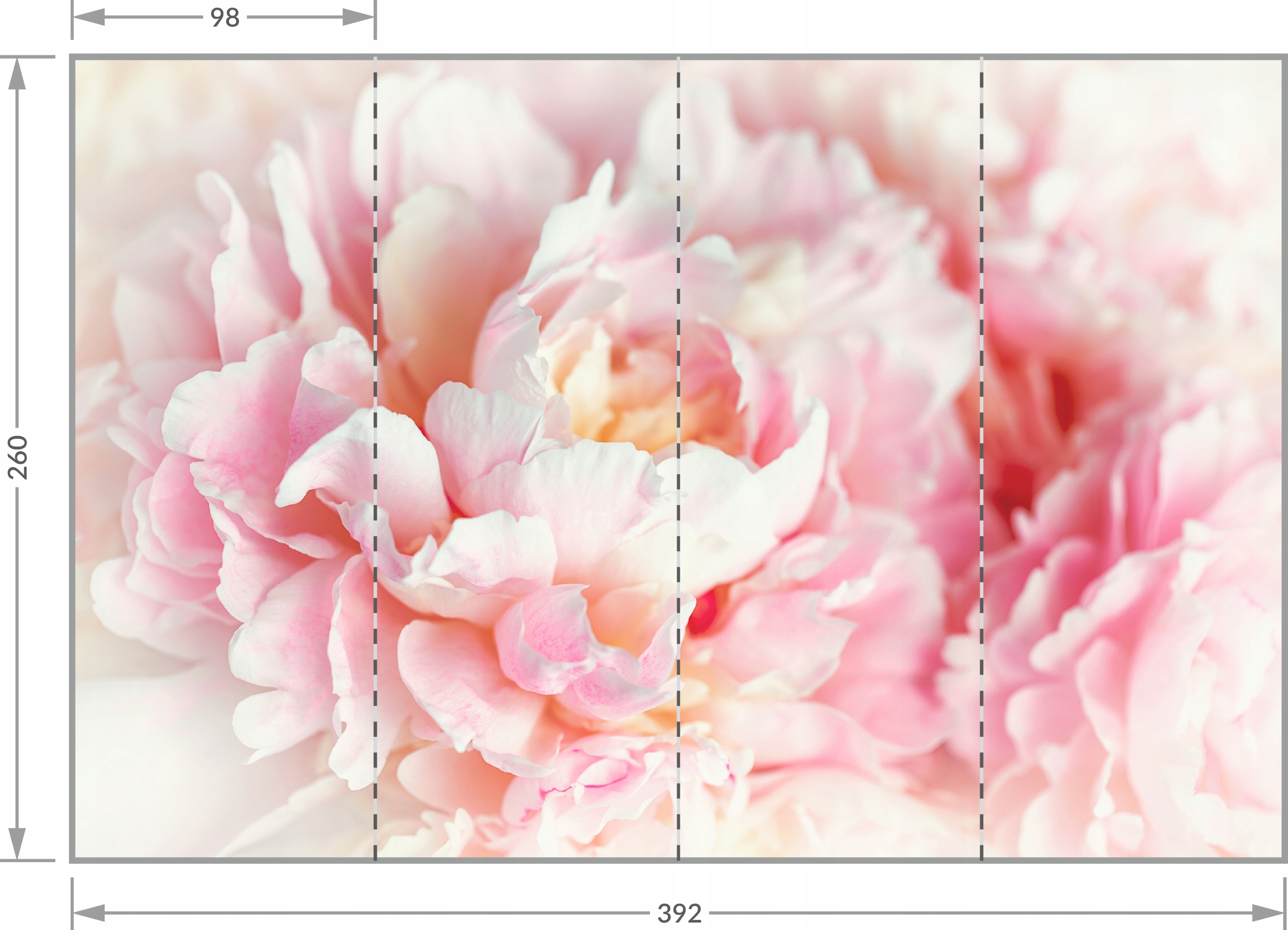 Fototapeta PEONIE PIWONIE KWIATY P05 392x260 Orientacja pozioma