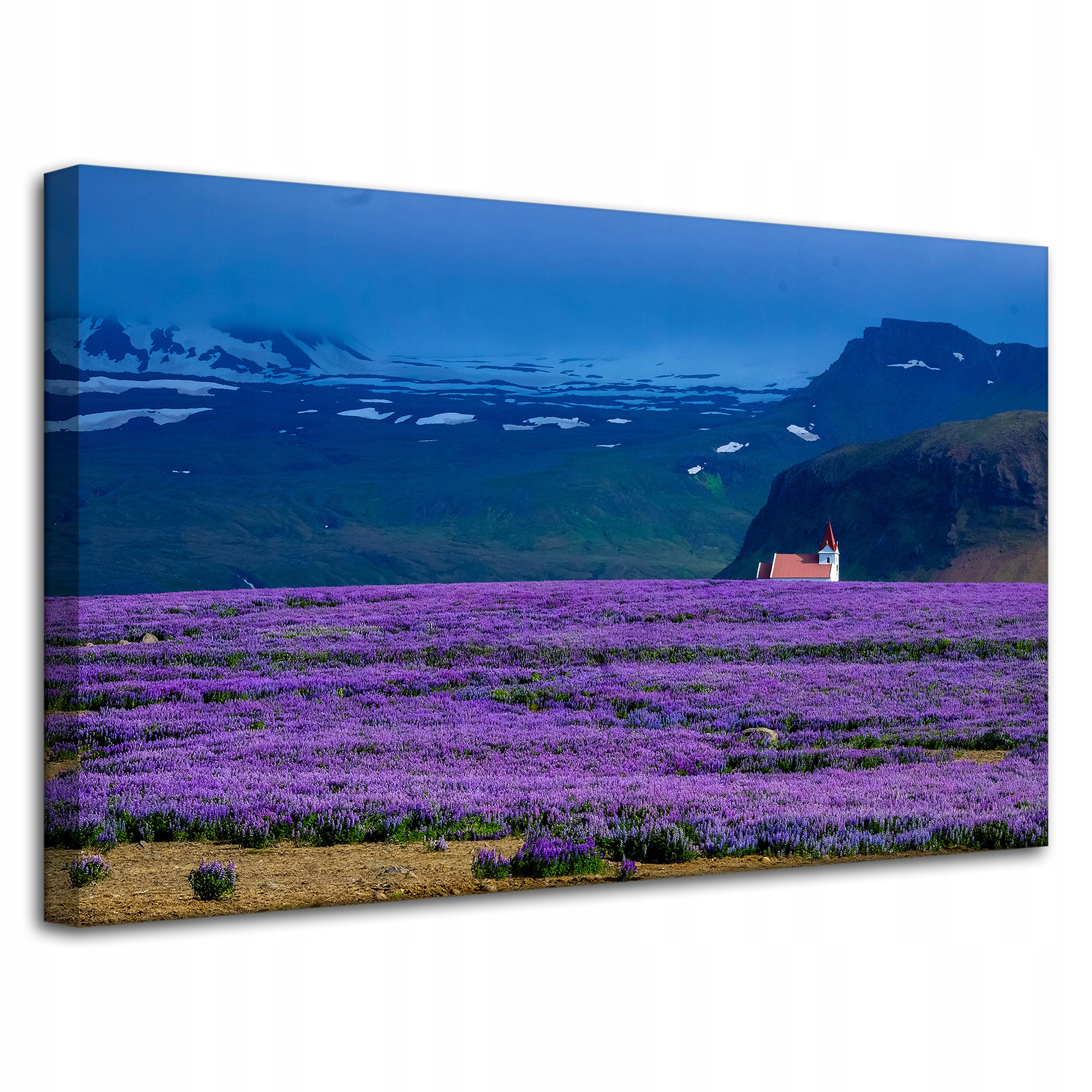Obraz Canvas Příroda Fialové pole levandule 80x50