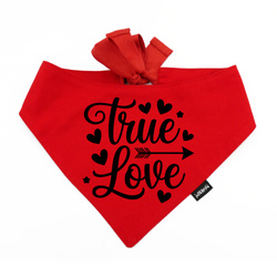 Levně Červená Nákrčník pro psa na Valentýna True Love Psiakrew L