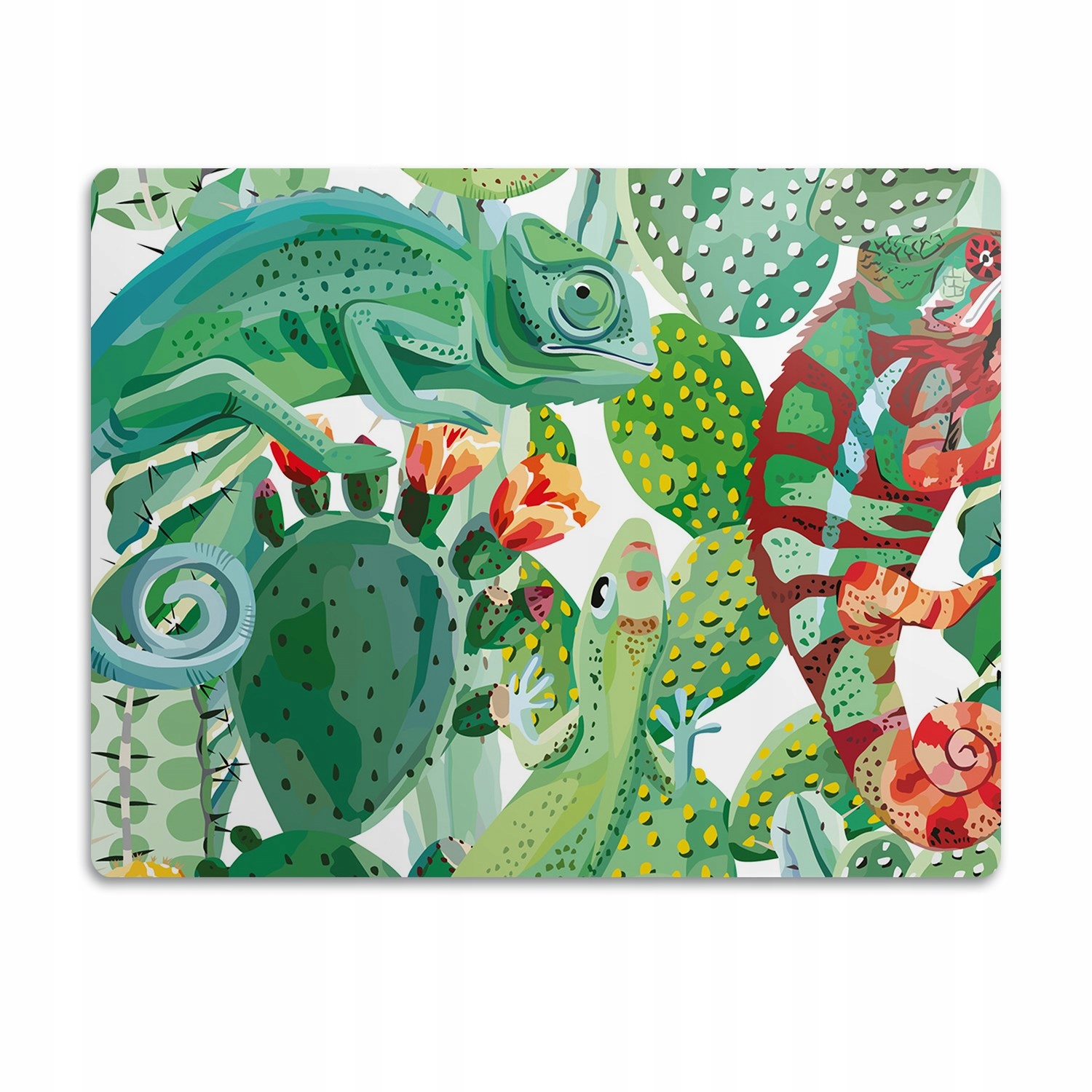 Pro psa ochranná podložka pod misku Kameleon 60x40 cm