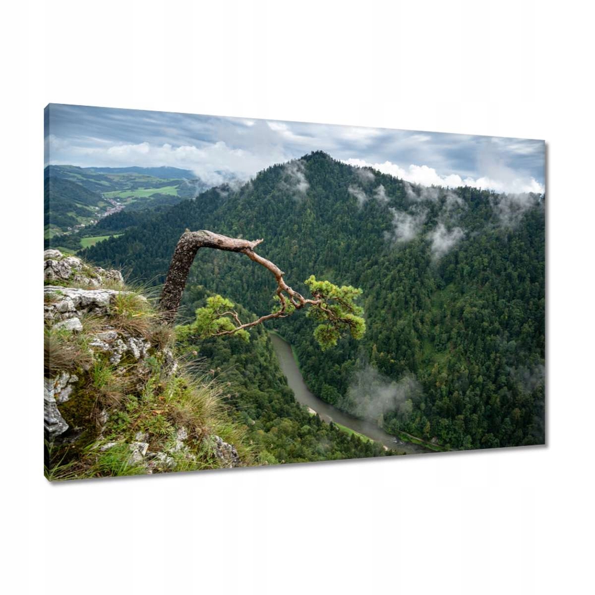 Obrazy 90x60 Krajina Sokolica