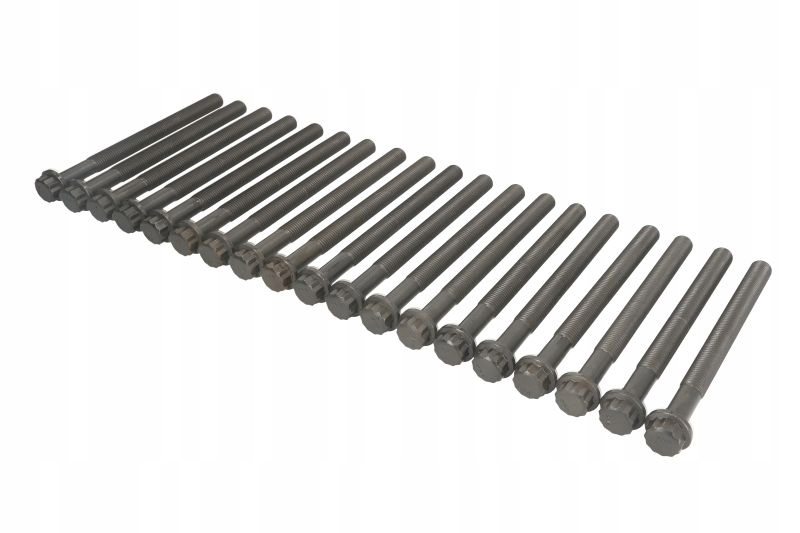 14-10581-01 - КОМПЛЕКТ БОЛТІВ ГОЛОВКИ MERCEDES ACTROS MP4 4710160069