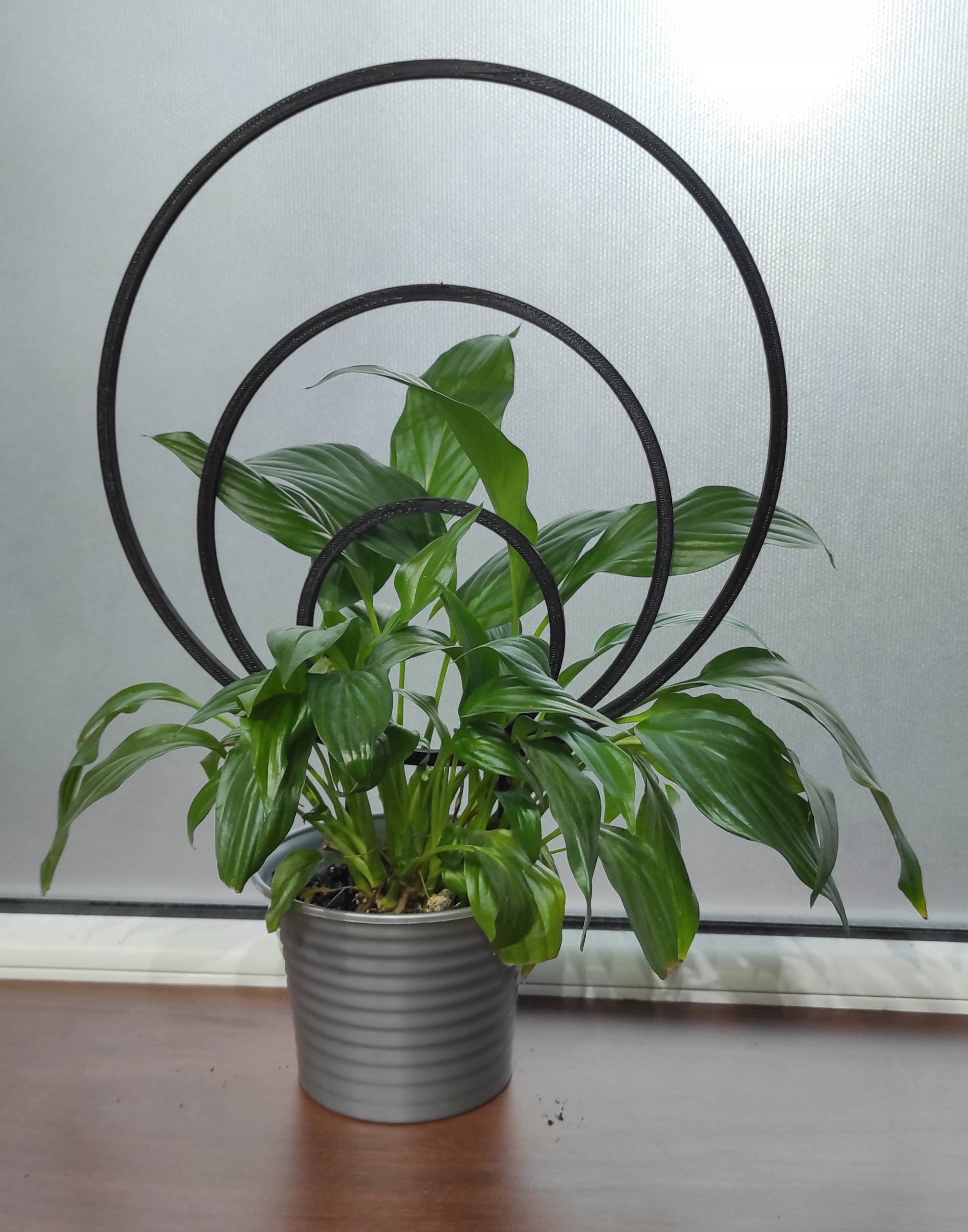 PODPÓRKA KWIATÓW ROŚLIN PERGOLA KOŁA OBRĘCZ 36cm Rodzaj drabinka