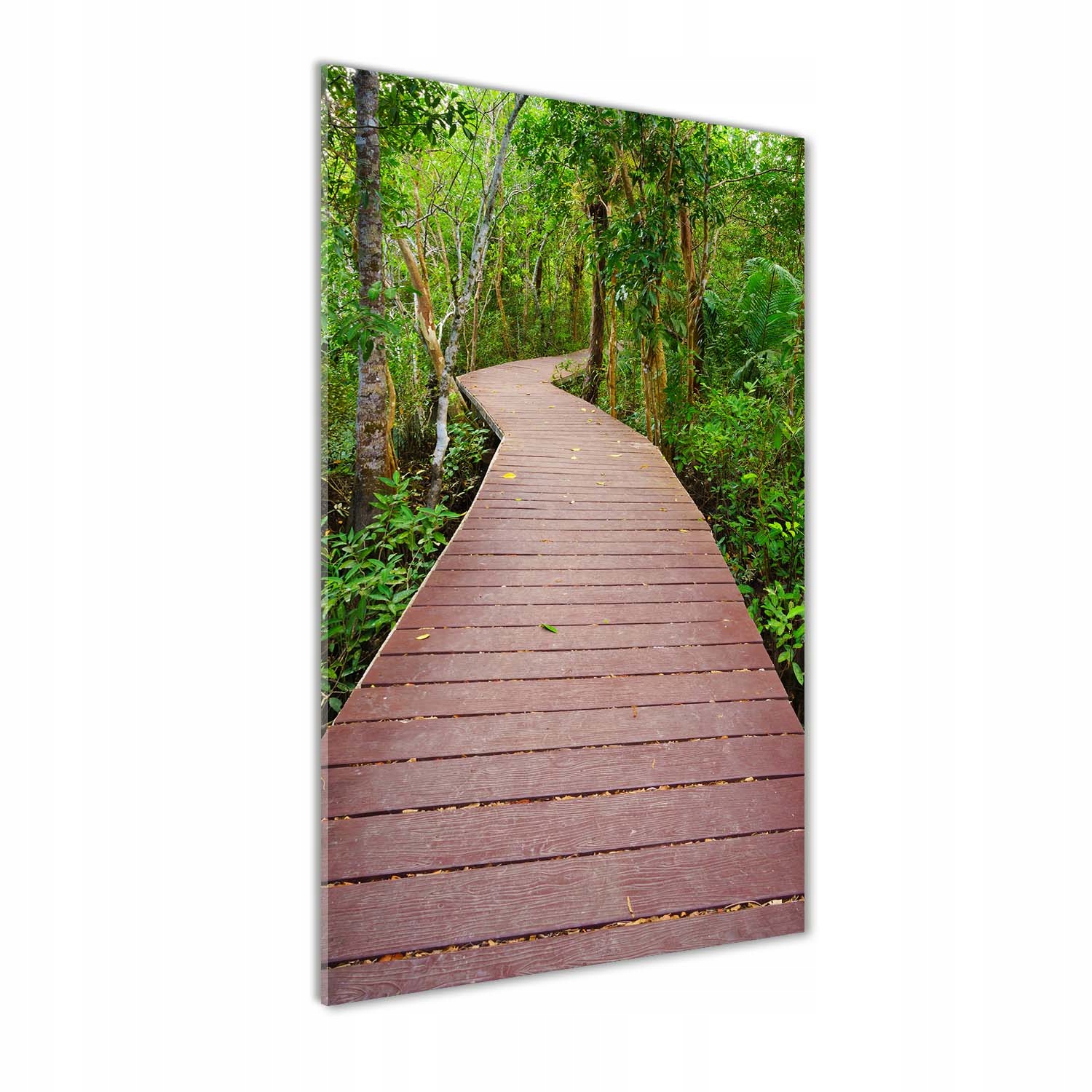 

Foto obraz na szkle Ścieżka w dżungli 60x120 cm