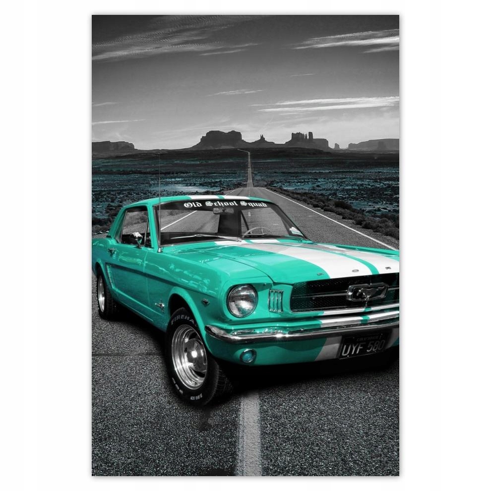 

Plakaty 40x60 Turkusowy samochód Ford