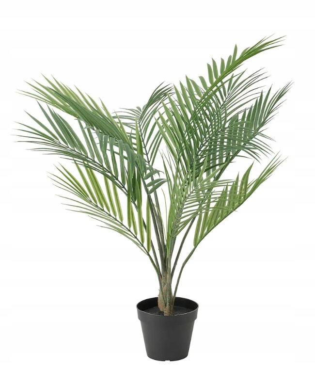 

Ikea Fejka Sztuczna roślina Palma Areka, 12 cm