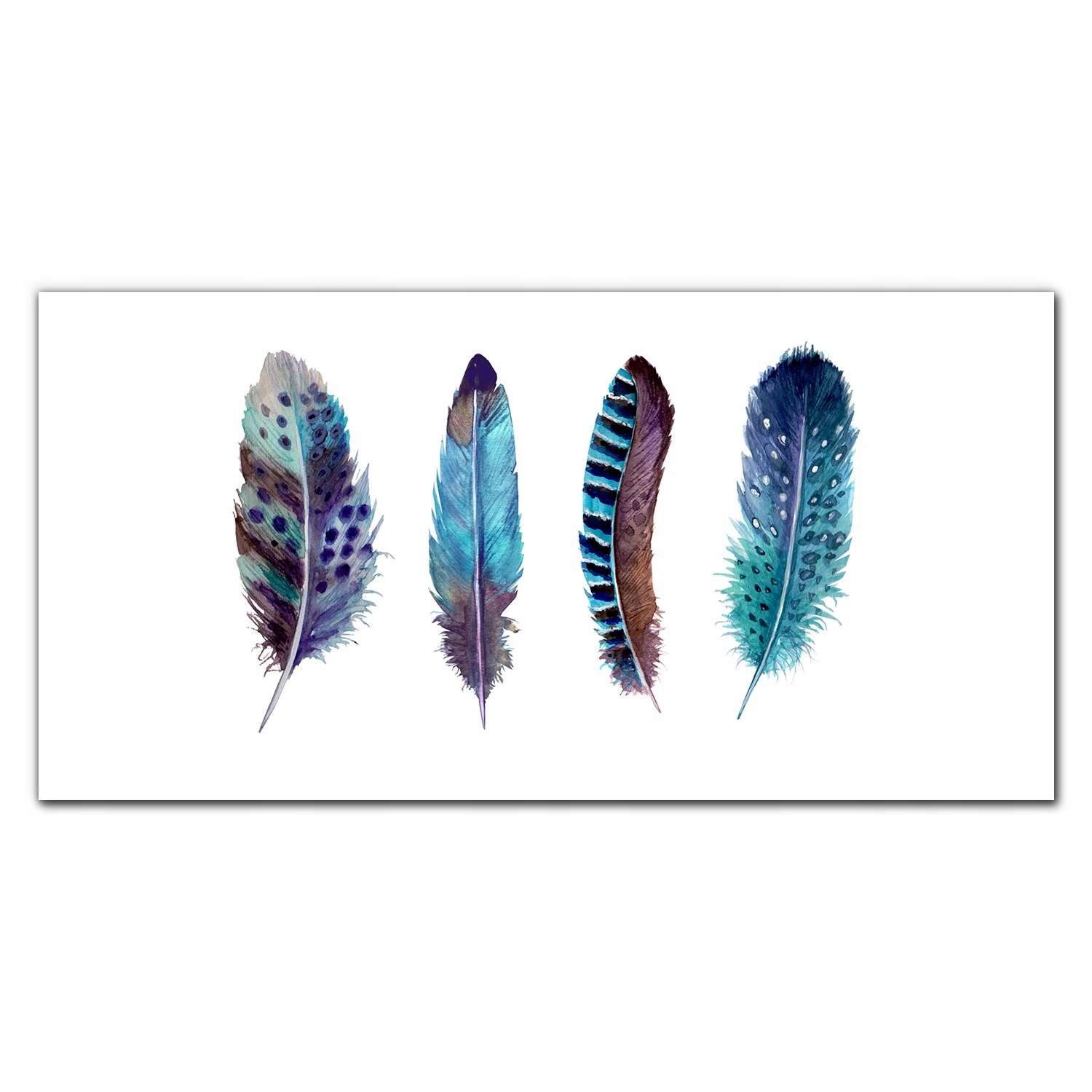 Obraz na stenu do obývačky plátno Perie 140x70 cm