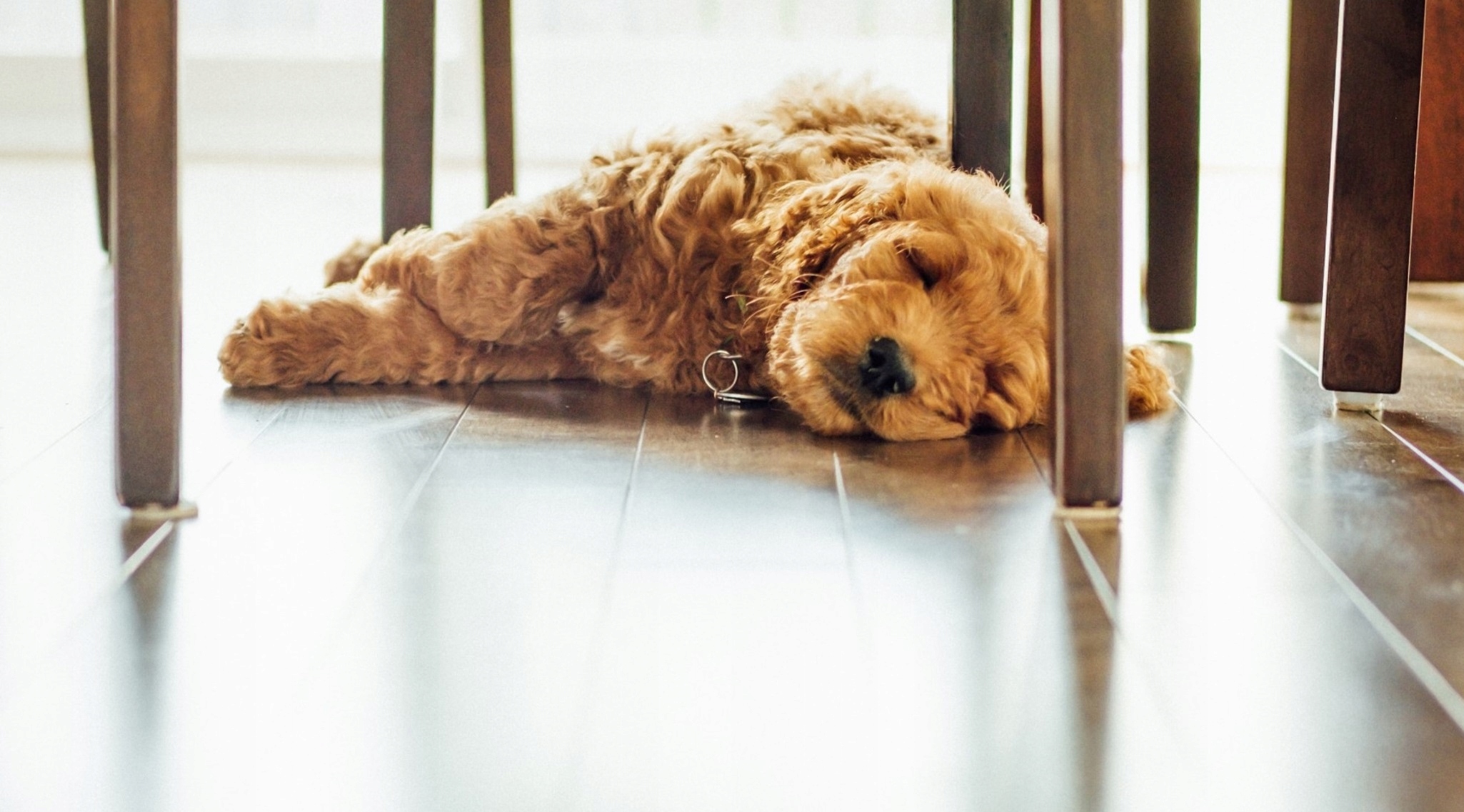 RURA WAVIN TIGRIS ALUPEX PEX/AL/PE 16 X2MM - 200 METRÓW. Waga produktu z opakowaniem jednostkowym 24 kg