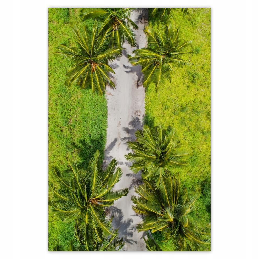 

Plakaty 40x60 Pejzaż Krajobraz Widoczek
