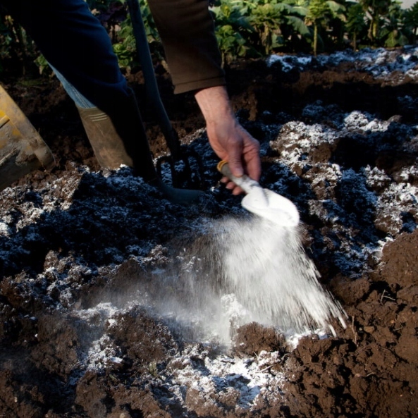 Nawóz dolomit Grupa Inco proszek 10 kg 10 l Producent Grupa Inco