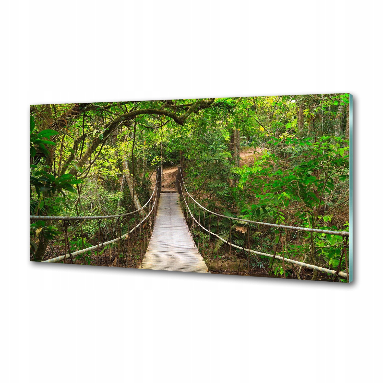 Panel dekor sklo Lanový most 120x60 cm Lepidlo
