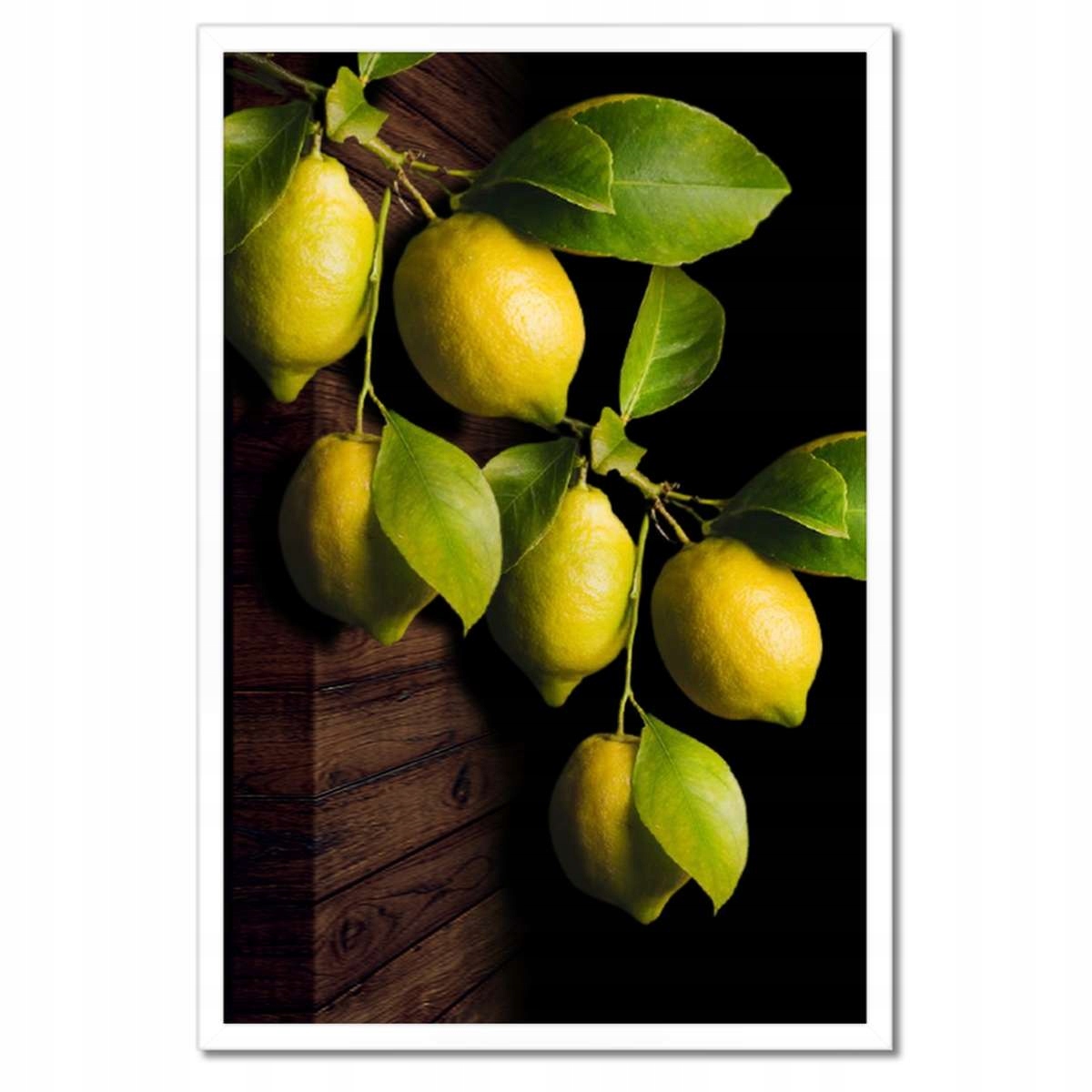 Plakáty v rámu 40x60 Přírodní citron Citrusy