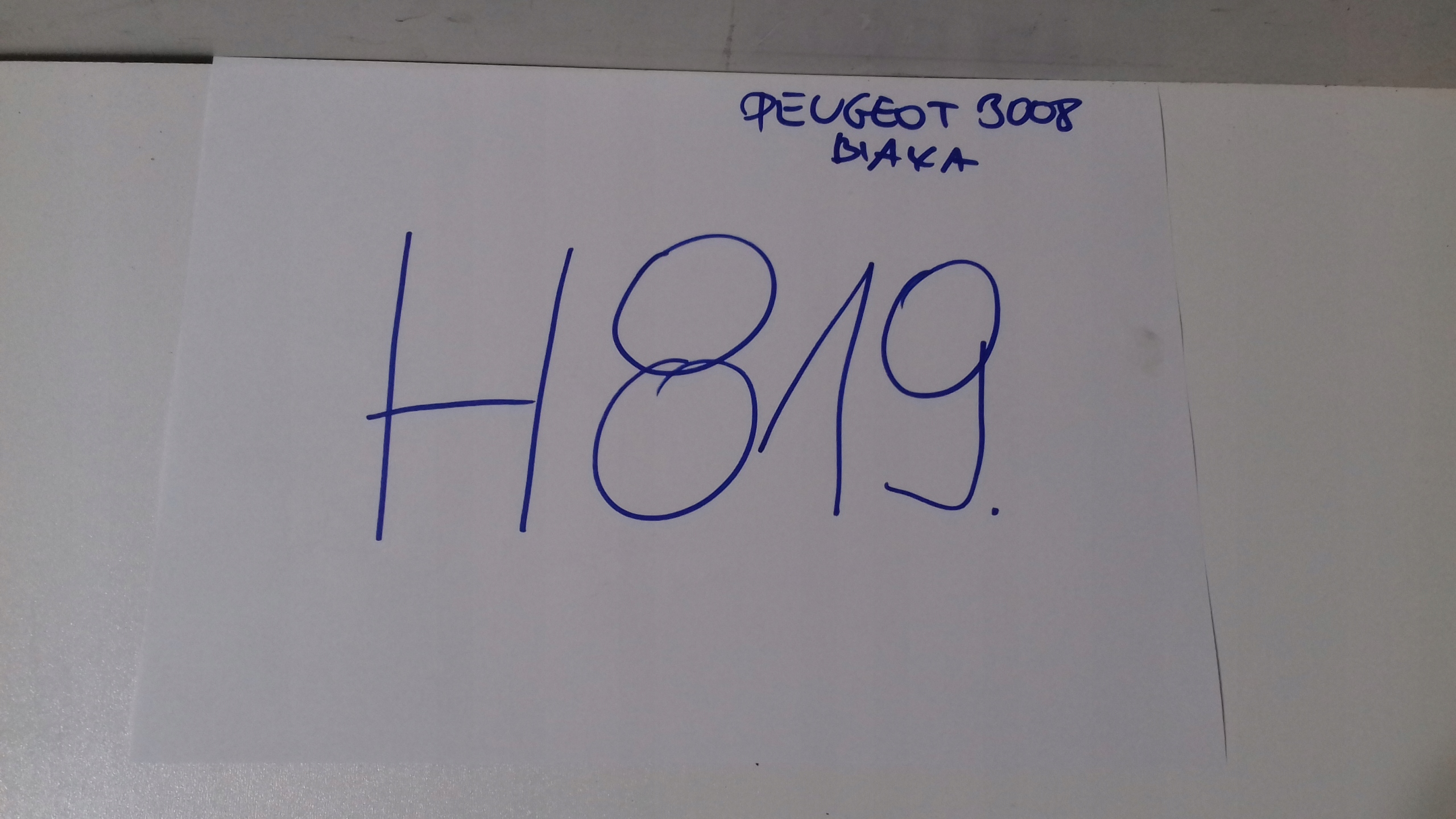 PEUGEOT 3008 II boot doors rear part BIALA