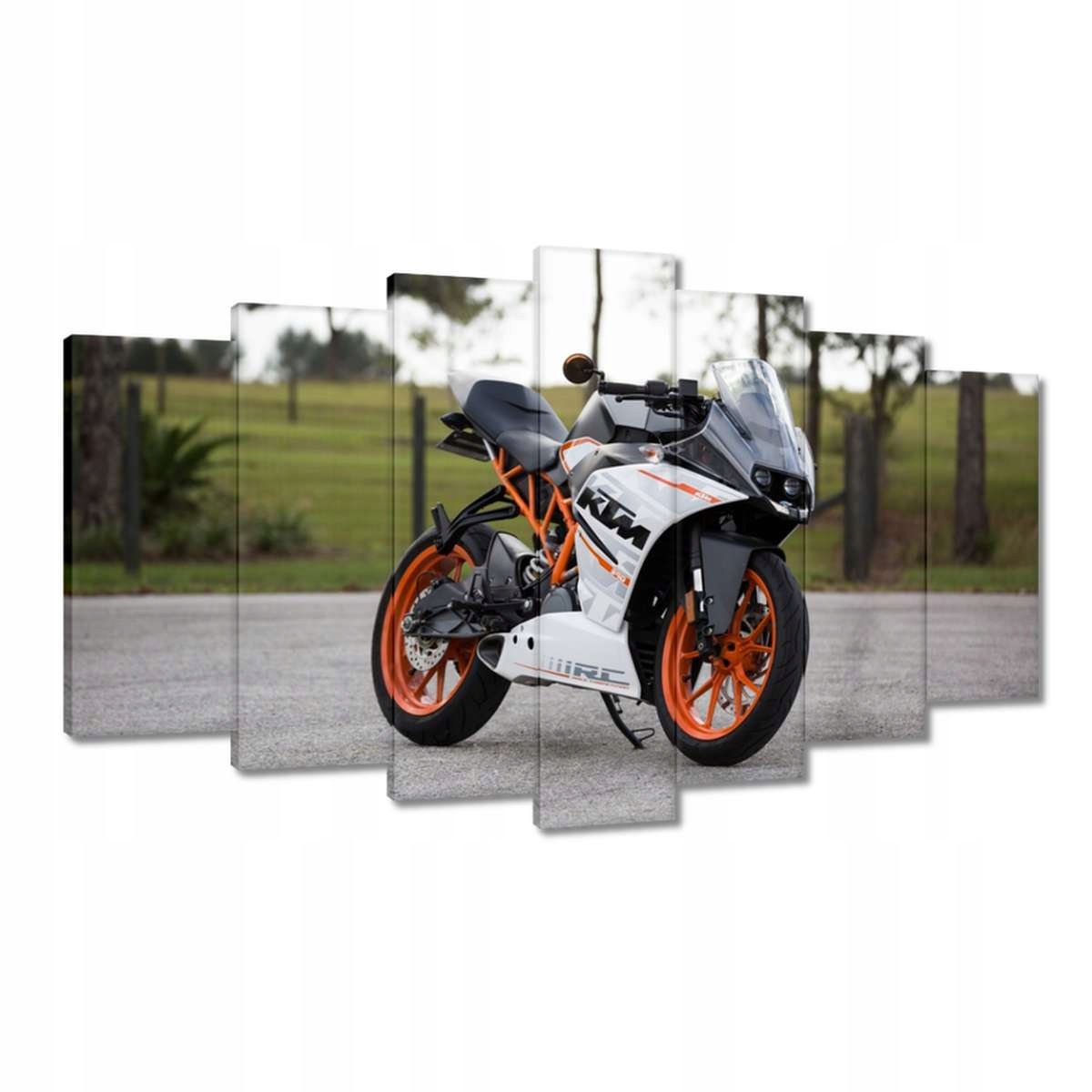 Obrazy 140x80 Motocykl Motor