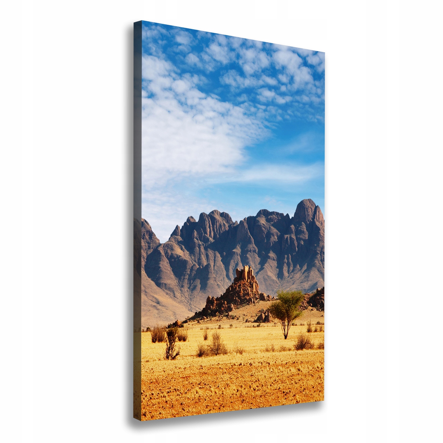 

Foto obraz na płótnie Pustynia Namibia 70x140 cm