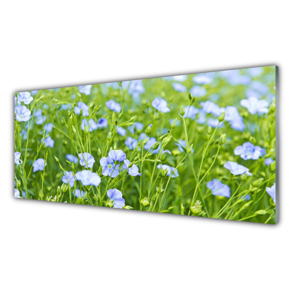 

Fotoobraz akryl 125x50 Kwiaty Trawa Roślina Natura