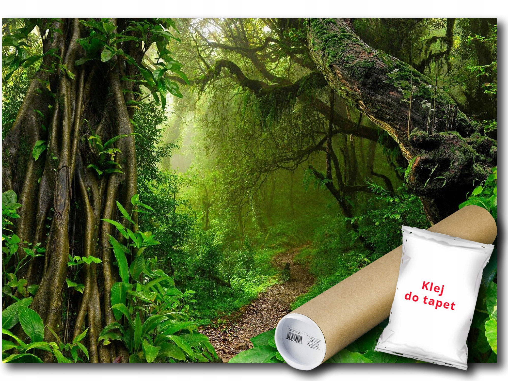 Fototapeta Flizelina Les Stromy Cesta 368x254