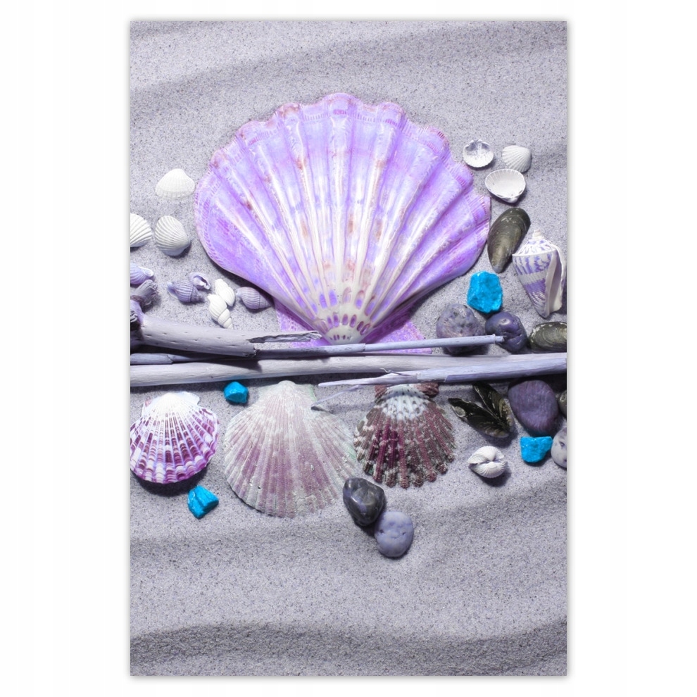 

Plakaty 62x93 Muszelkowa kompozycja