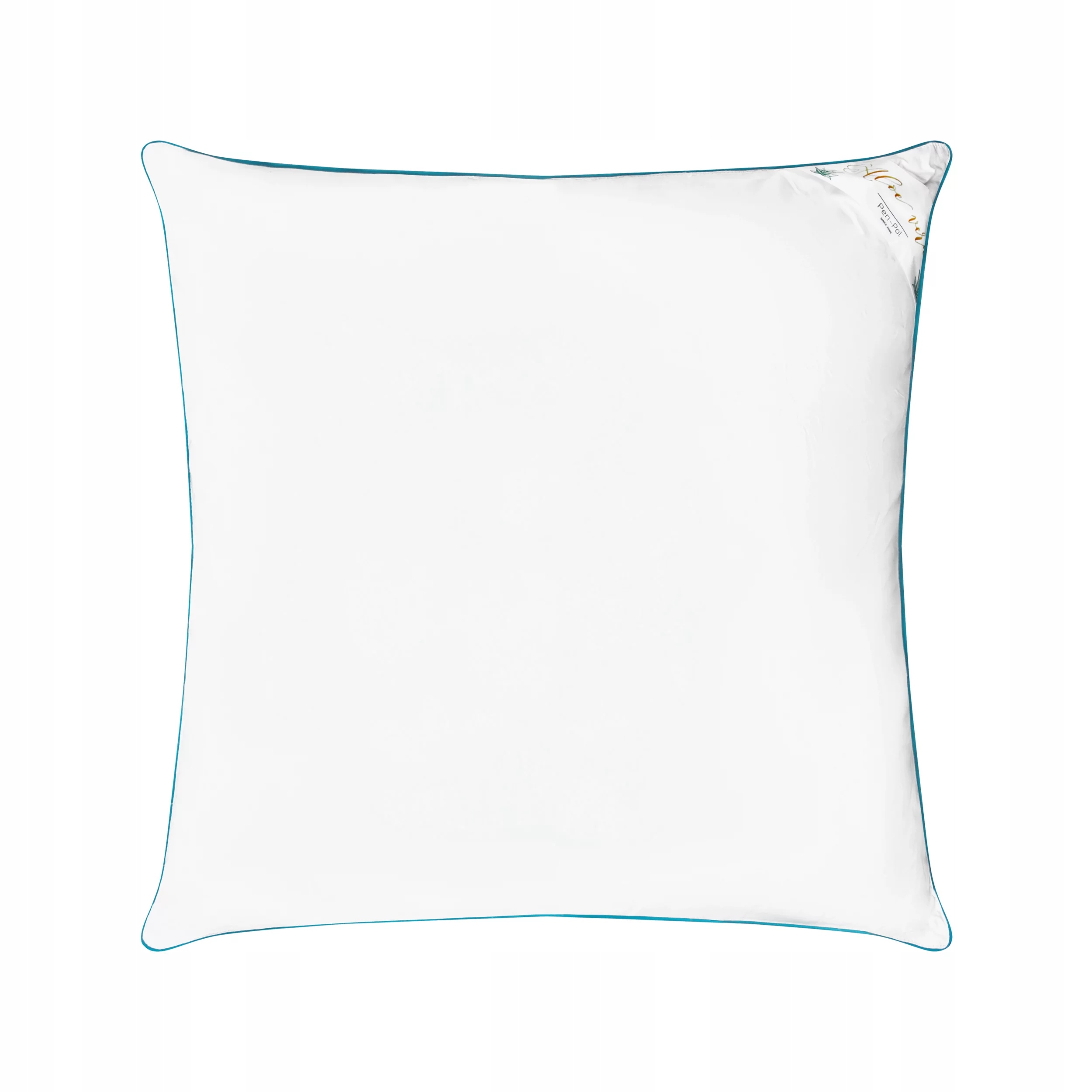 Polštář aloe vera 80x80