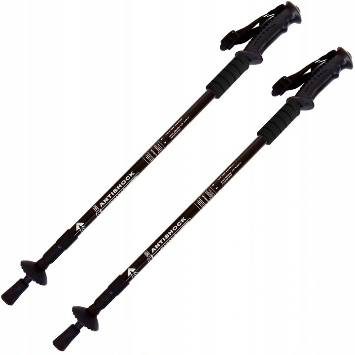 KIJKI TREKKINGOWE TELESKOPOWE NORDIC WALKING ANTISHOCK KOMPAS ZESTAW 2 SZT Kolor dominujący srebrny