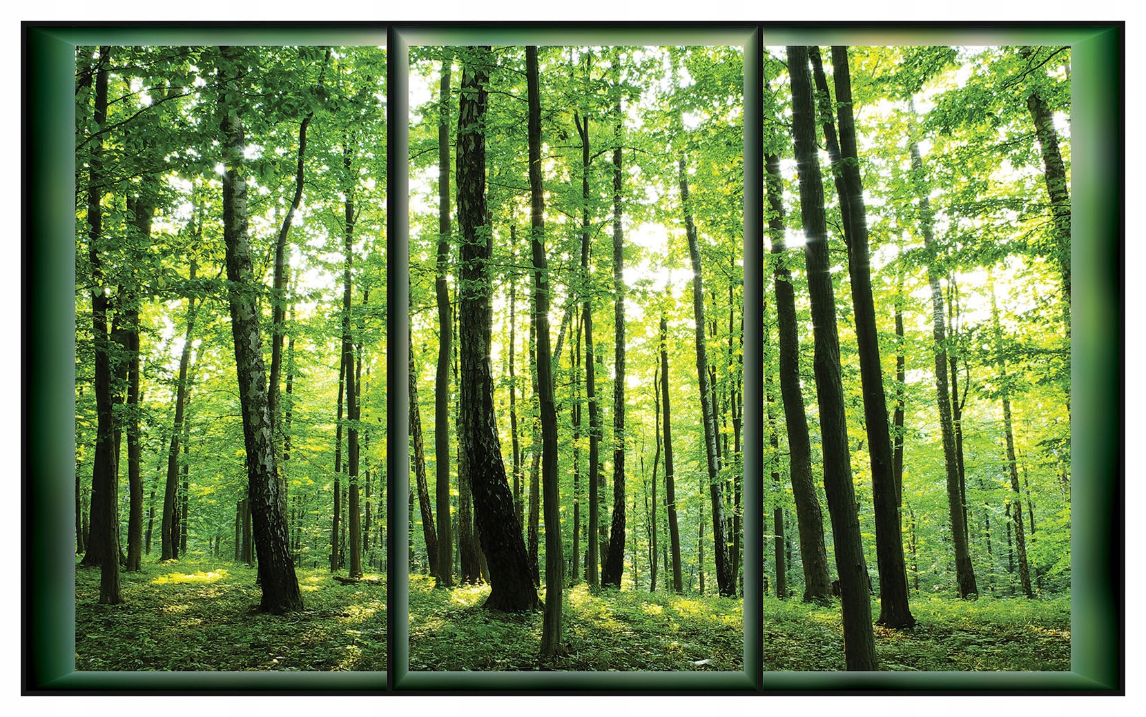 Fototapeta Lesní stezka Zeleň Stromy Klid 368x254 vinylová lepidlo