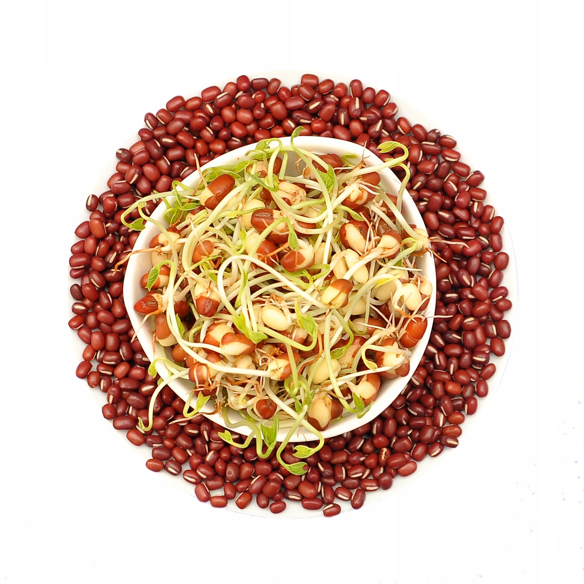 Adzuki bab csíráztatott magvak 50 g